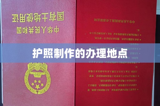 边坝护照制作的办理地点