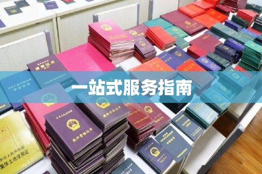 边坝一站式服务指南