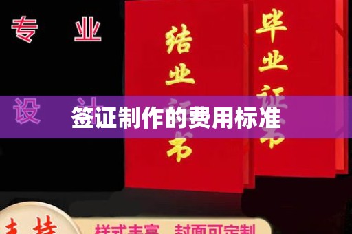 边坝签证制作的费用标准
