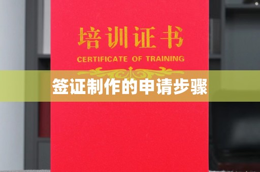 边坝签证制作的申请步骤