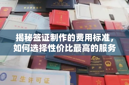 边坝揭秘签证制作的费用标准，如何选择性价比最高的服务？