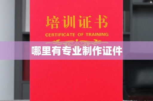 边坝哪里有专业制作证件